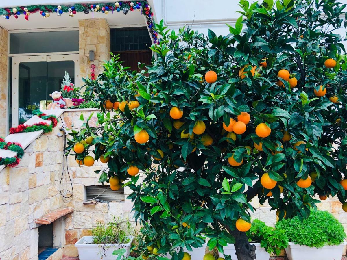 Dream & Relax Villa Fiore Bari Exterior photo